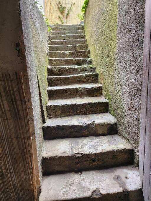 La Maisonnette Des Hautes Granges Blois Exteriör bild